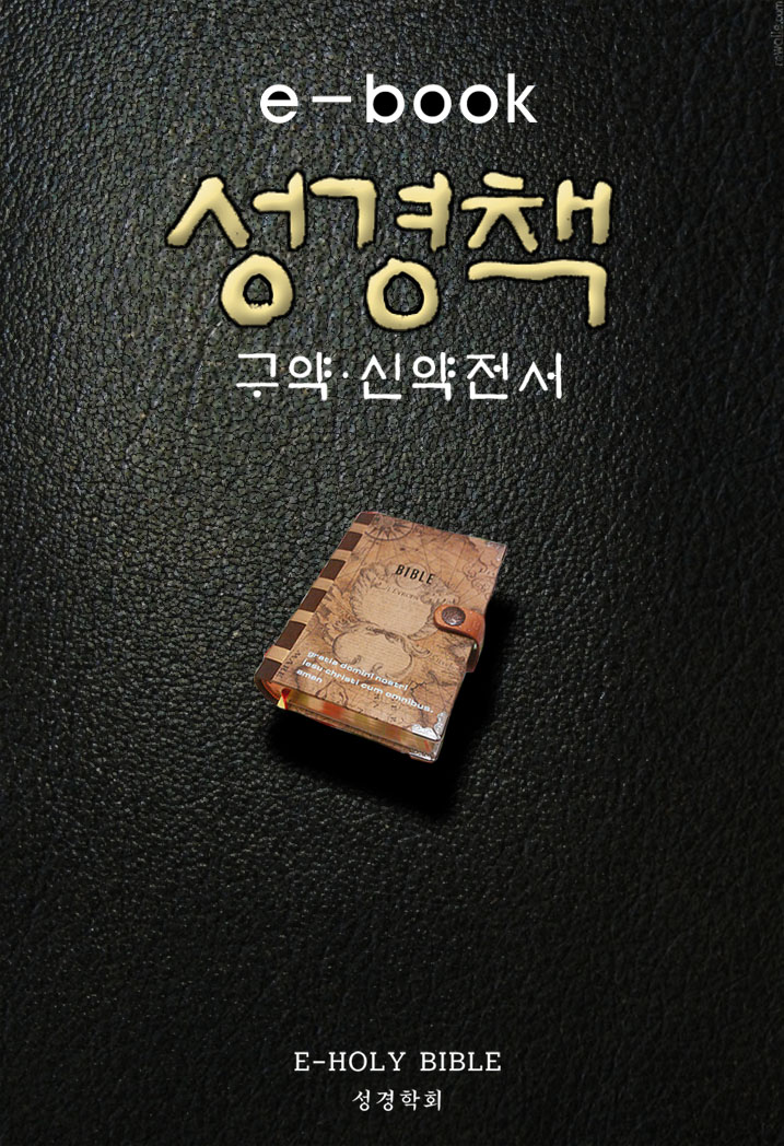 성경책 (구약·신약전서) 완결